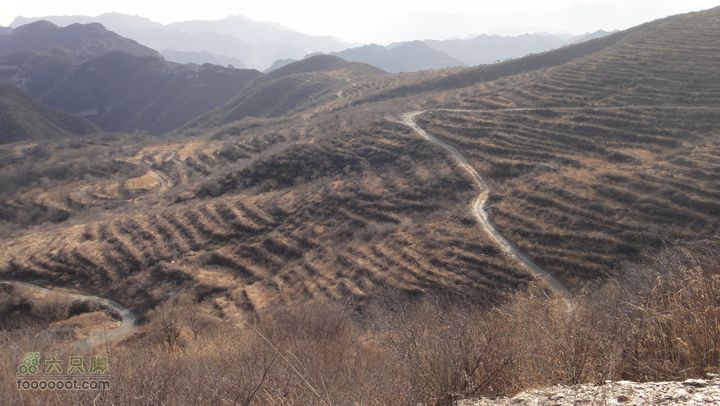 20111224再走灰地-铁陀山-灰地DSC07405