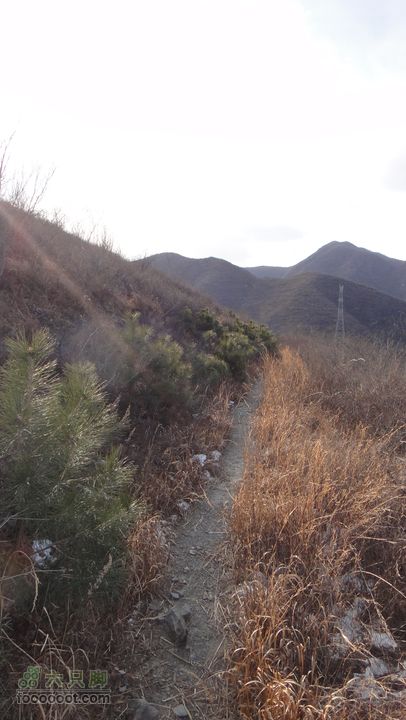 20111224再走灰地-铁陀山-灰地DSC07406