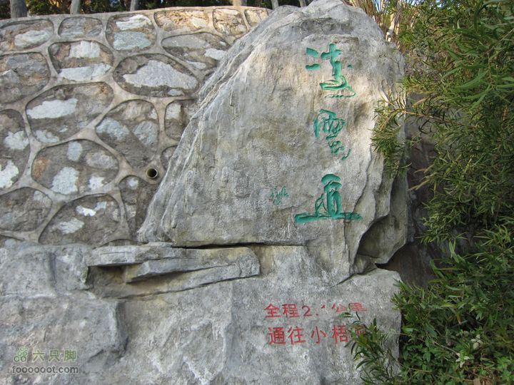 深圳梧桐山及大梅沙IMG_4970