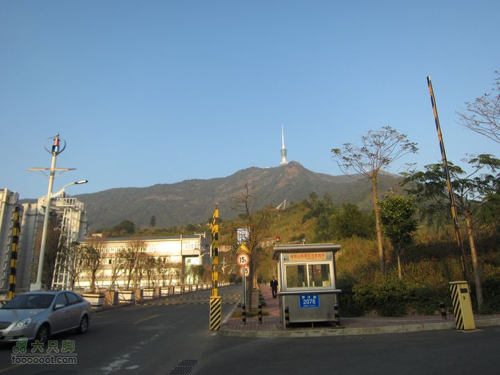 深圳梧桐山及大梅沙IMG_4976