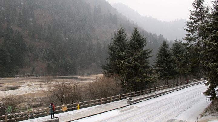 2012年元旦3日九寨行IMG_1500