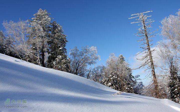 2012年1月3日攀登望天鹅未命名8
