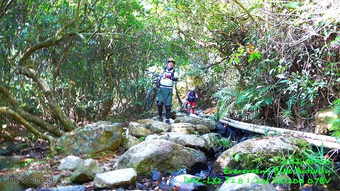 2012 01 08 新界東北邊界廢村P1440698