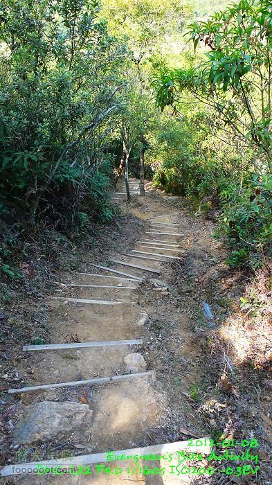 2012 01 08 新界東北邊界廢村P1440807