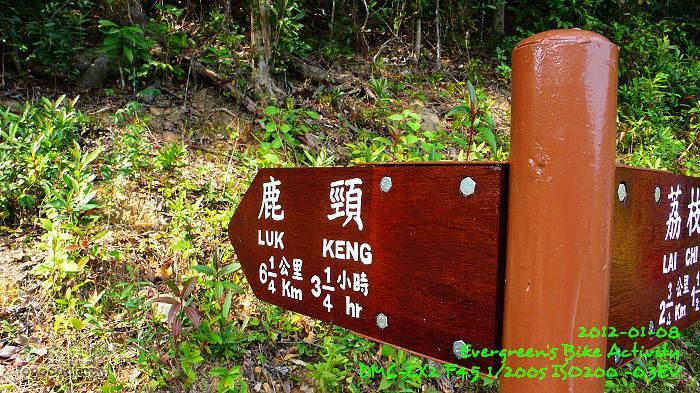 2012 01 08 新界東北邊界廢村P1440820