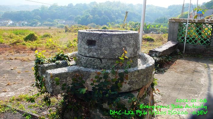2012 01 08 新界東北邊界廢村P1440854