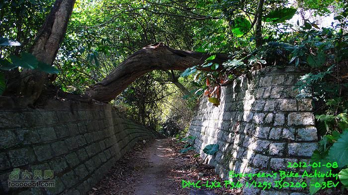 2012 01 08 新界東北邊界廢村P1440855