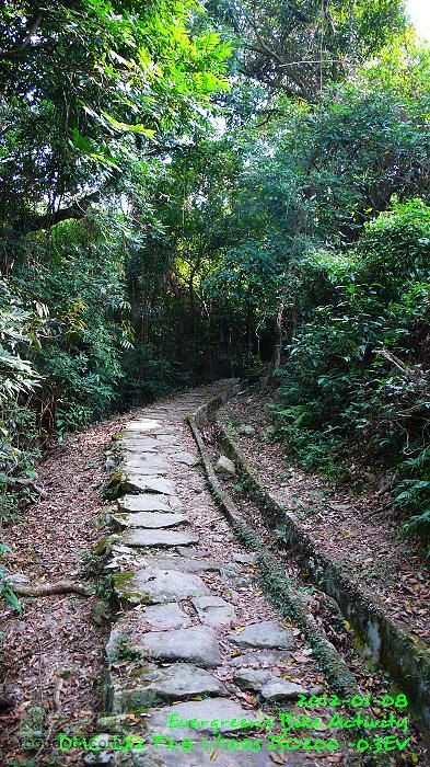 2012 01 08 新界東北邊界廢村P1440859