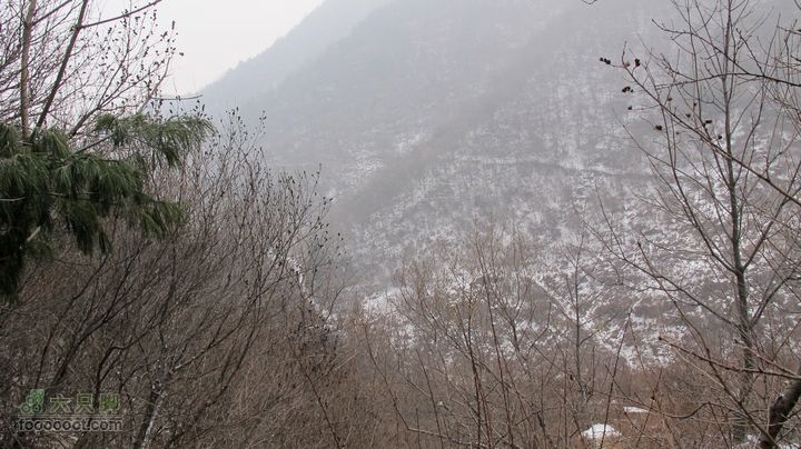 【驴行天下】2012-1-14流峪飞峡IMG_1923