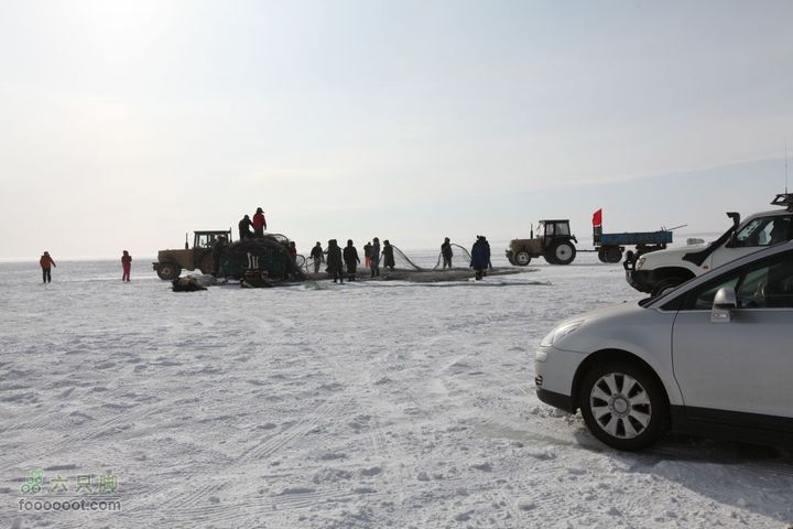 2012元旦内蒙游2010元旦游5D 135