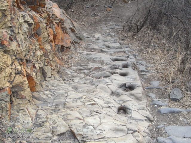 120115水闸－圈门RIMG0105