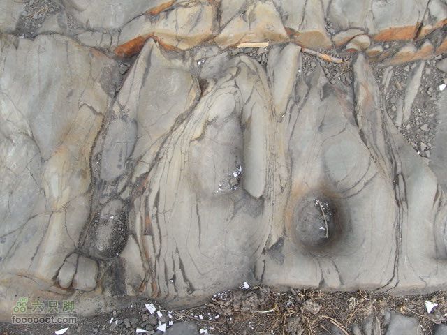 120115水闸－圈门RIMG0113