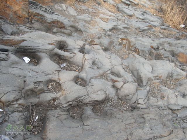 120115水闸－圈门RIMG0123