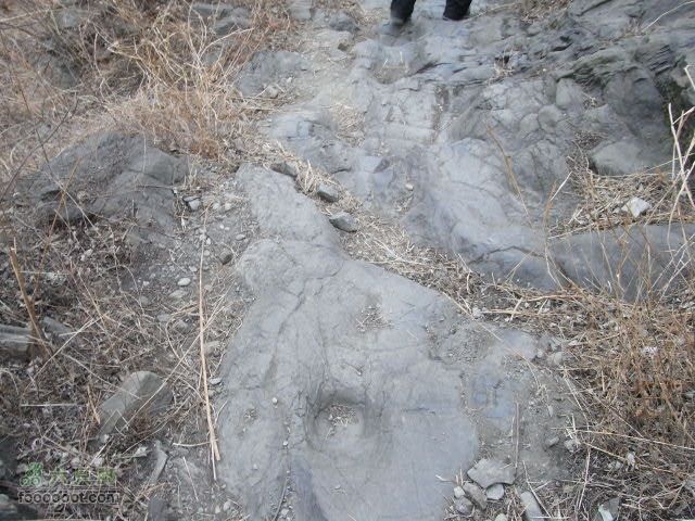 120115水闸－圈门RIMG0181