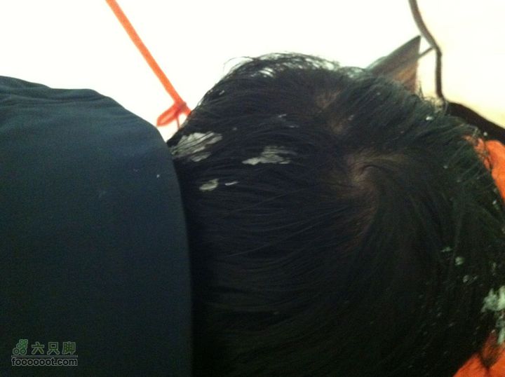 大年初三-初五冬季小五台探险-章家窑入-登顶西台头发上结着冰柳，另外这么看咋有泄顶的趋势？