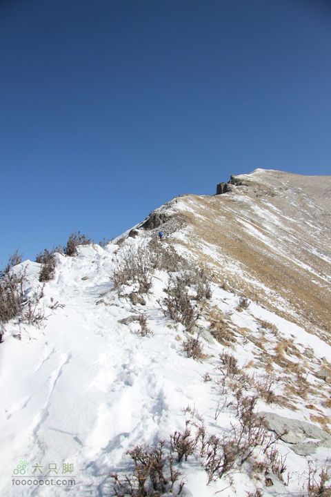 大年初三-初五冬季小五台探险-章家窑入-登顶西台石头看我，前面那个小点是我！
