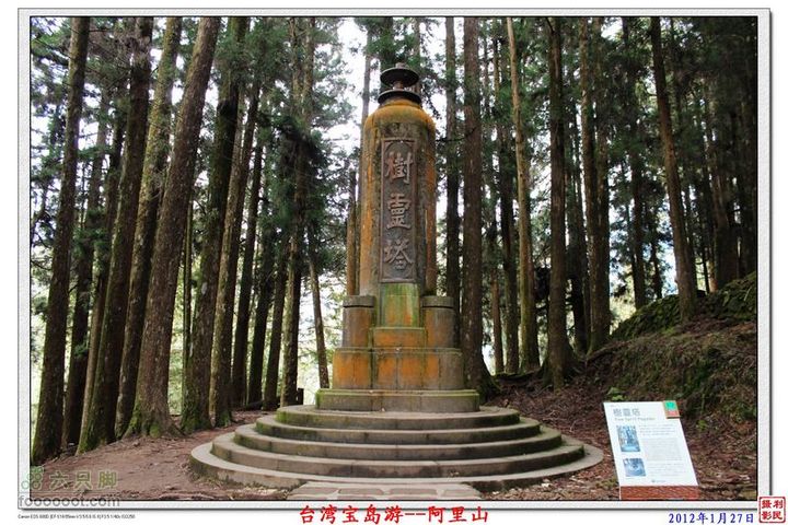 2012年1月27日台湾宝岛游--阿里山阿里山_29