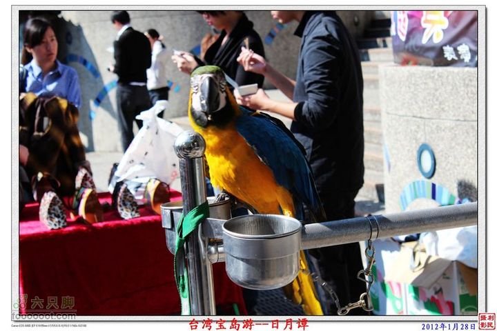 2012年1月28日台湾宝岛游--日月谭日月潭_24