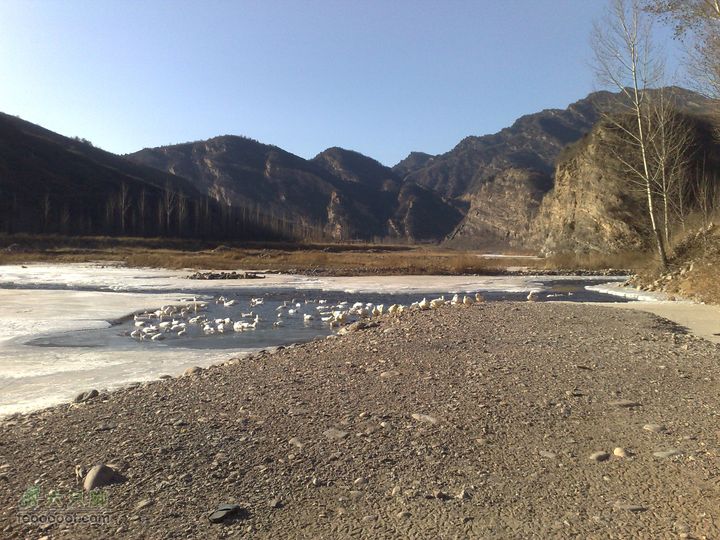 12年2月4日白河踏冰20120204679