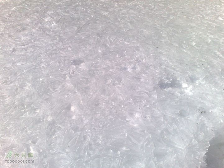 12年2月4日白河踏冰20120204717