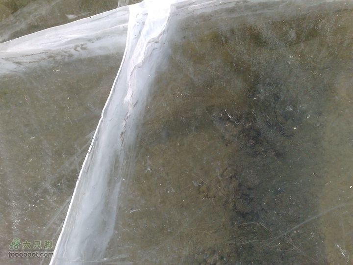 12年2月4日白河踏冰20120204737