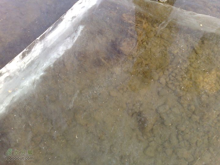 12年2月4日白河踏冰20120204738