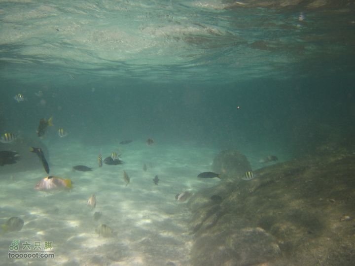 合艾过年、lipe出海、兰卡威自驾，这个春节很折腾IMG_0683_resize