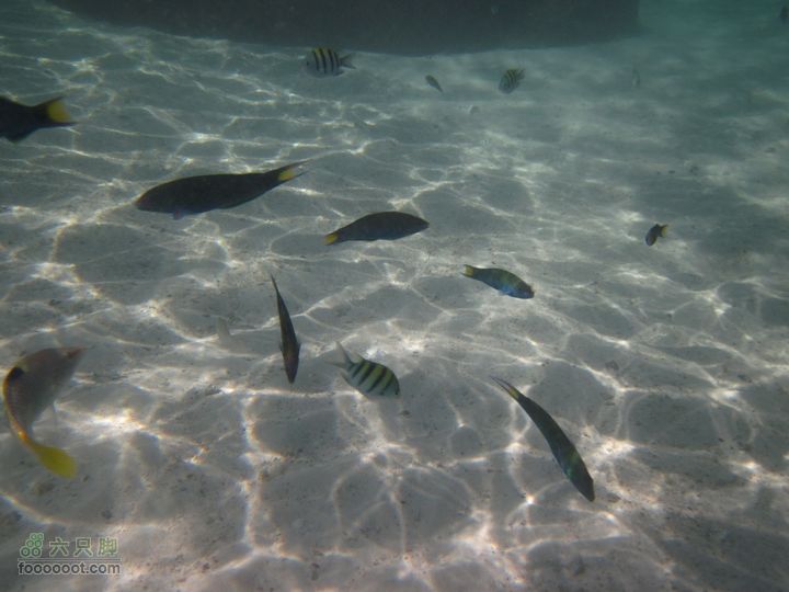 合艾过年、lipe出海、兰卡威自驾，这个春节很折腾IMG_0680_resize