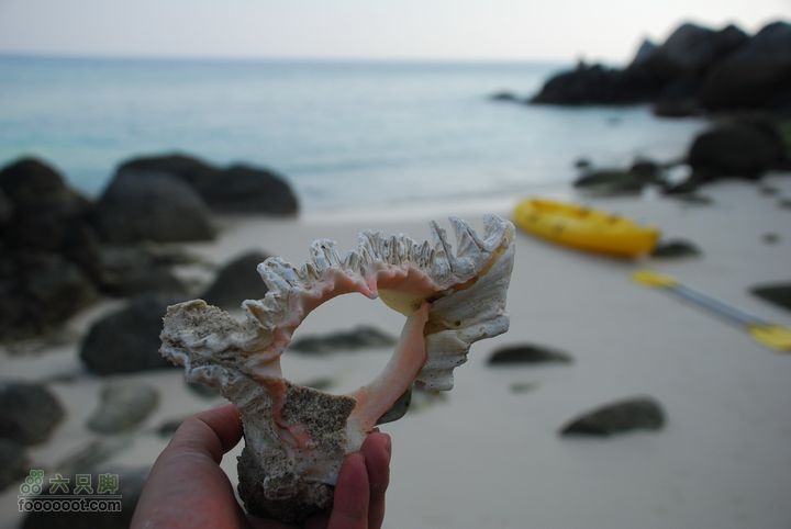 合艾过年、lipe出海、兰卡威自驾，这个春节很折腾DSC_0337_resize
