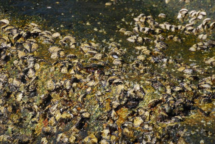 合艾过年、lipe出海、兰卡威自驾，这个春节很折腾DSC_0322_resize