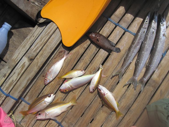 合艾过年、lipe出海、兰卡威自驾，这个春节很折腾IMG_0733_resize