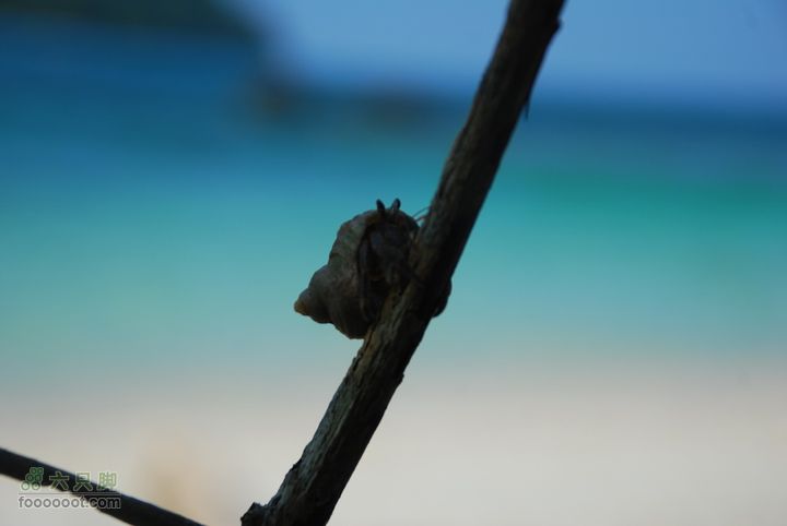 合艾过年、lipe出海、兰卡威自驾，这个春节很折腾DSC_0249_resize