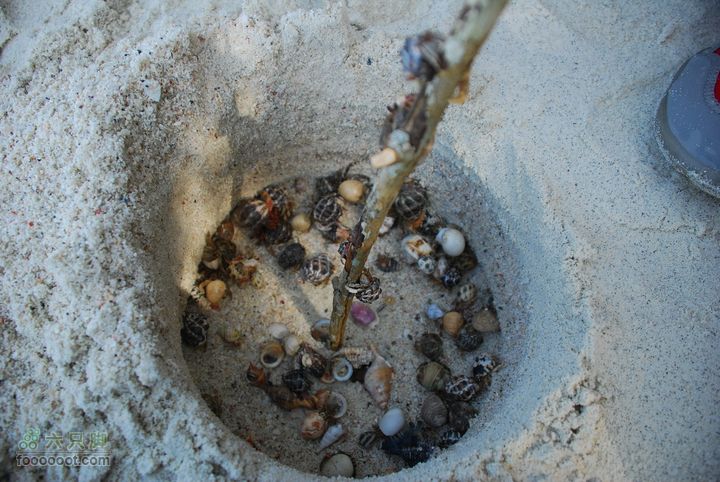 合艾过年、lipe出海、兰卡威自驾，这个春节很折腾DSC_0230_resize