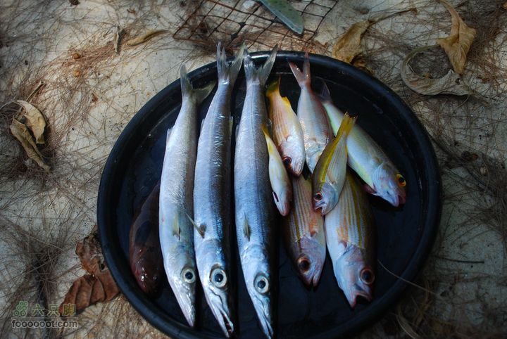 合艾过年、lipe出海、兰卡威自驾，这个春节很折腾DSC_0192_resize