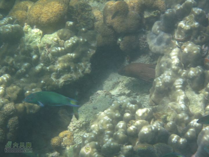 合艾过年、lipe出海、兰卡威自驾，这个春节很折腾IMG_0896_resize