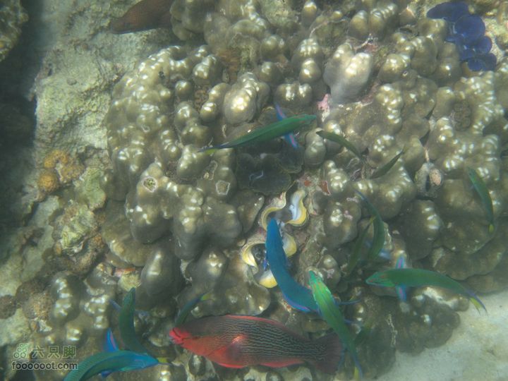 合艾过年、lipe出海、兰卡威自驾，这个春节很折腾IMG_0876_resize