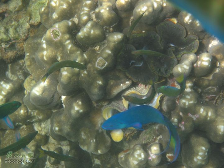 合艾过年、lipe出海、兰卡威自驾，这个春节很折腾IMG_0873_resize