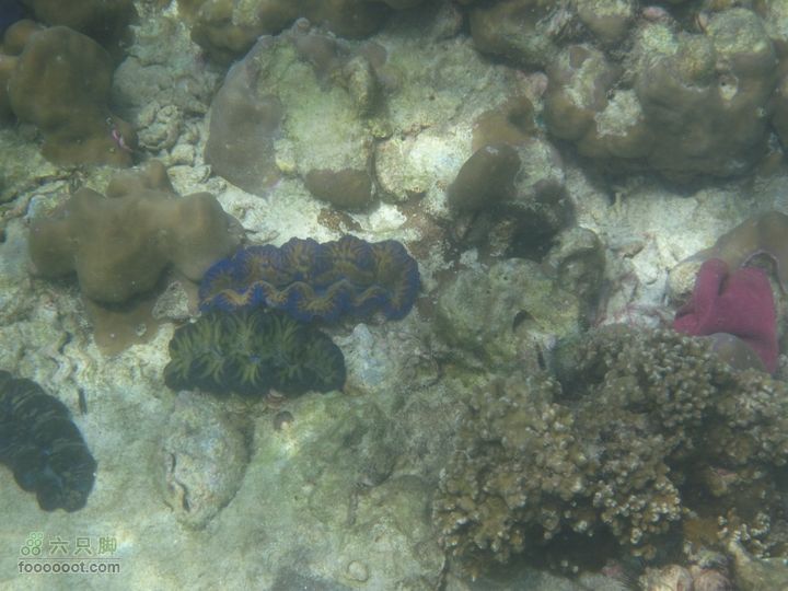 合艾过年、lipe出海、兰卡威自驾，这个春节很折腾IMG_0872_resize