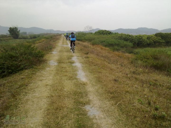 120205_再騎東江兩岸_橫瀝-蘆洲-觀音閣-泰美-仍圖DSCF1424A