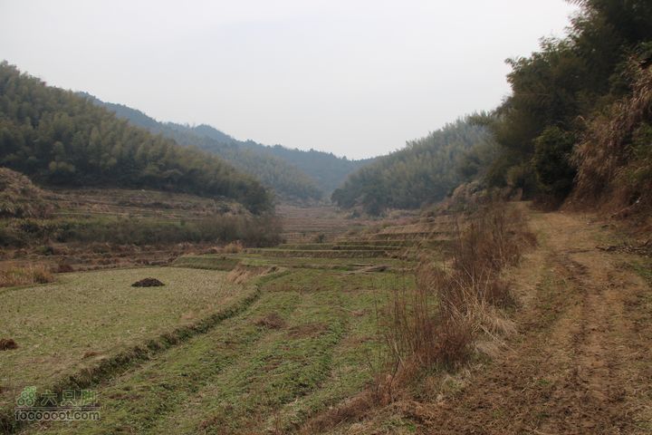 开春到坪田山庄听春再走傅家源IMG_6489
