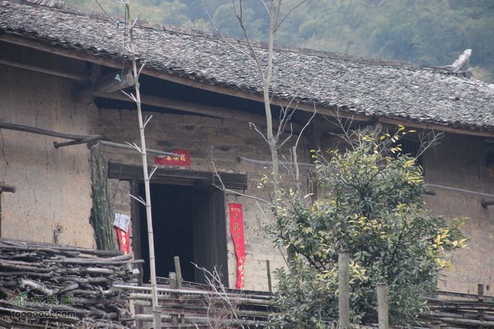 开春到坪田山庄听春再走傅家源IMG_6490