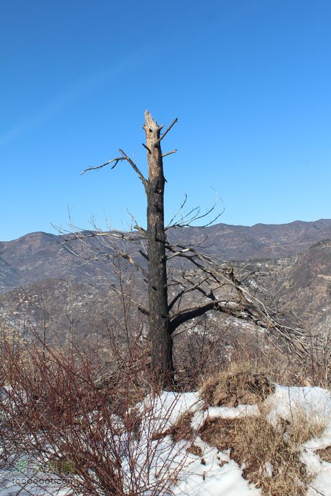 天龙山徒步IMG_6212