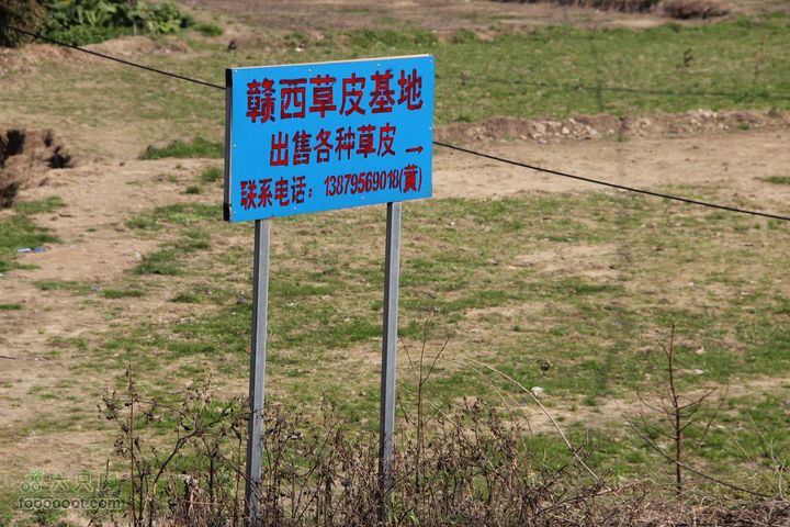 阳春穿越望高尖IMG_7135