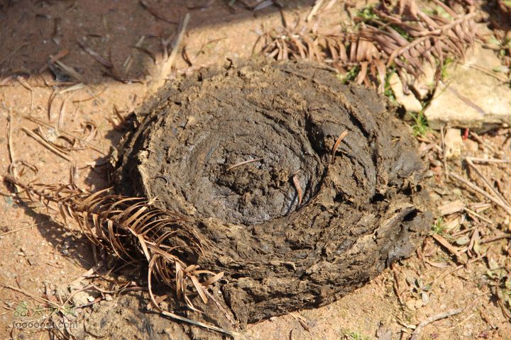 阳春穿越望高尖IMG_6801