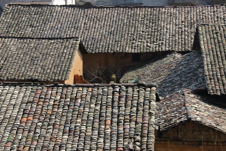 阳春穿越望高尖IMG_7055