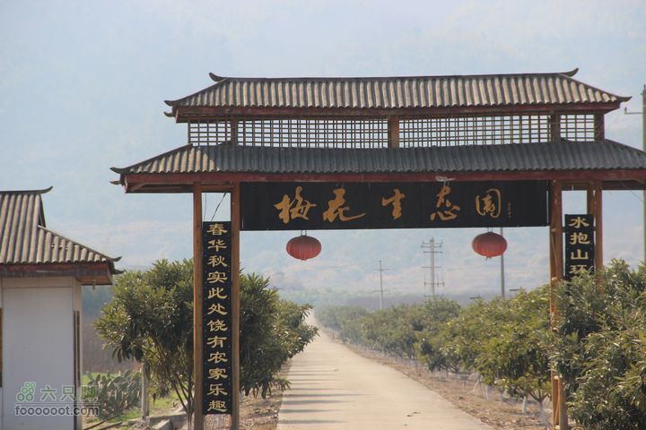 阳春穿越望高尖IMG_7133
