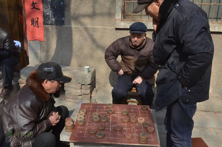  骑行风陵渡、老潼关 DSC_0165