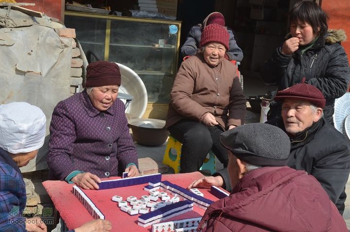  骑行风陵渡、老潼关 DSC_0164