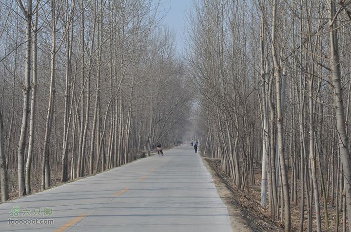  骑行风陵渡、老潼关 DSC_0155