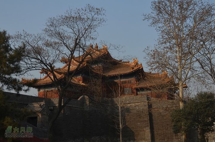  骑行风陵渡、老潼关 DSC_0150